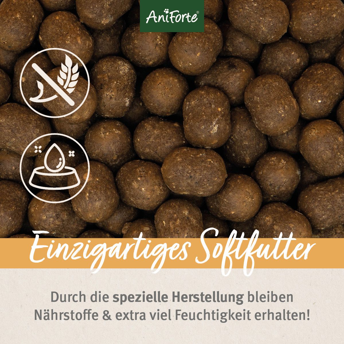 AniForte Trockenfutter LandChicken - Zartes Huhn mit Reis 2 kg Futter