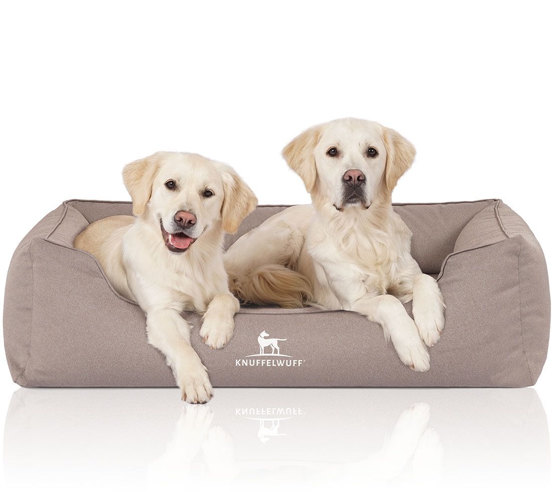 Zwei Hunde in einem beigen Hundebett. Logo: Knuffelwuff. Hunde liegen entspannt.
