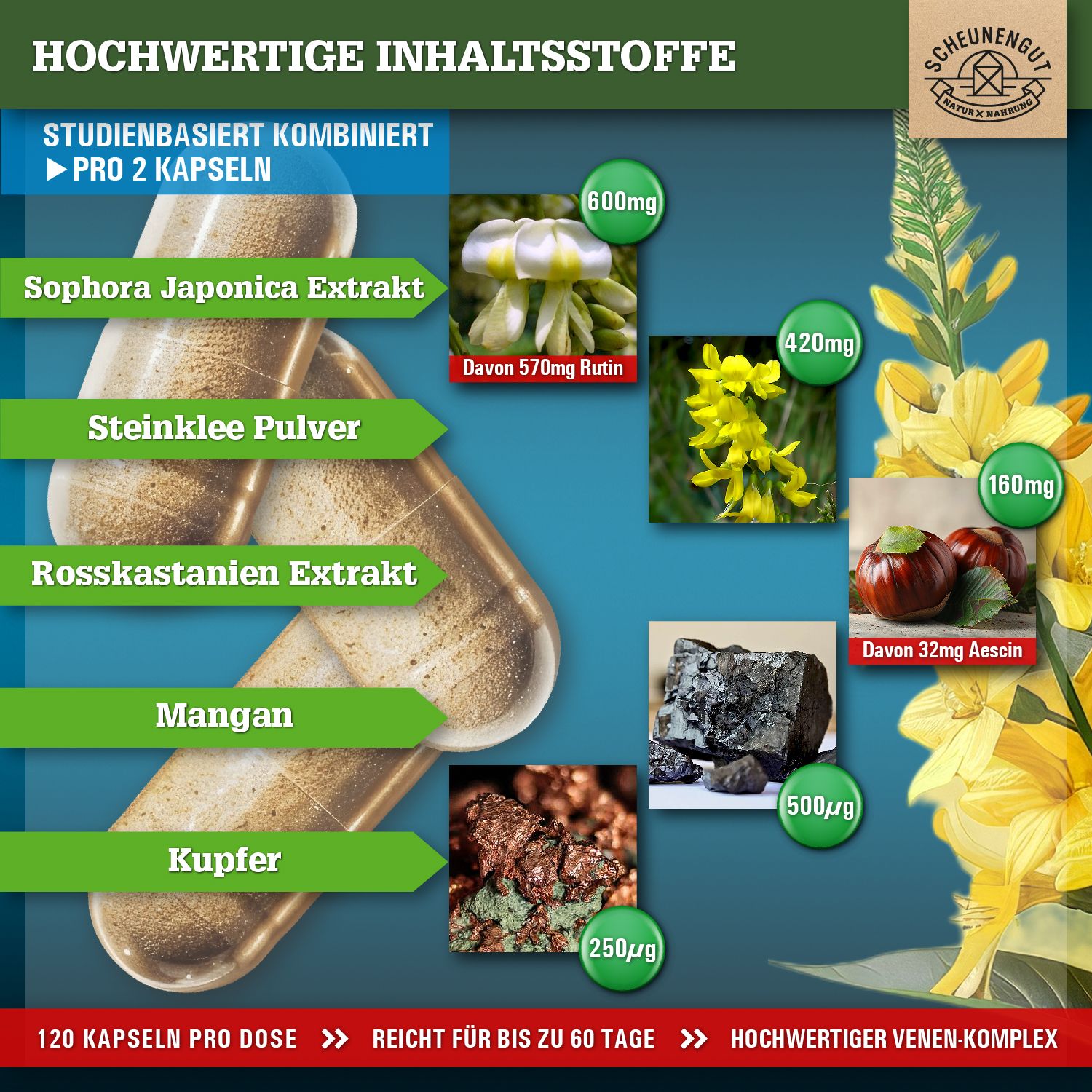 Scheunengut® VENENKRAFT | Hoch bioverfügbarer Rutin Steinklee Komplex | Einmalige Zusammensetzung