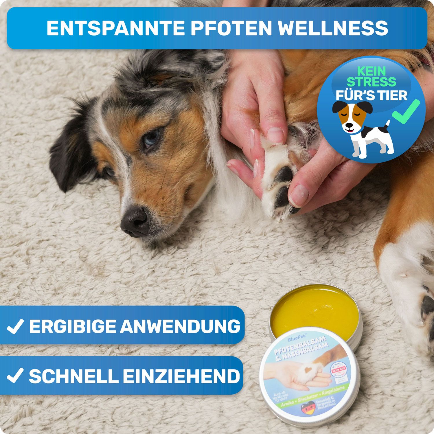Hundepfote wird eingecremt. Dose mit gelbem Balsam. Text: Entspannte Pfoten Wellness, Ergiebige Anwendung, Schnell einziehend.