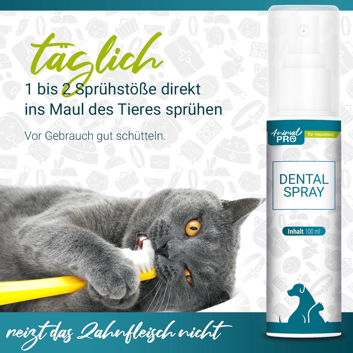 Katze putzt Zähne mit Zahnbürste. Rechts: Sprühflasche mit Animal Pro Logo und Dental Spray. Text: Täglich sprühen.