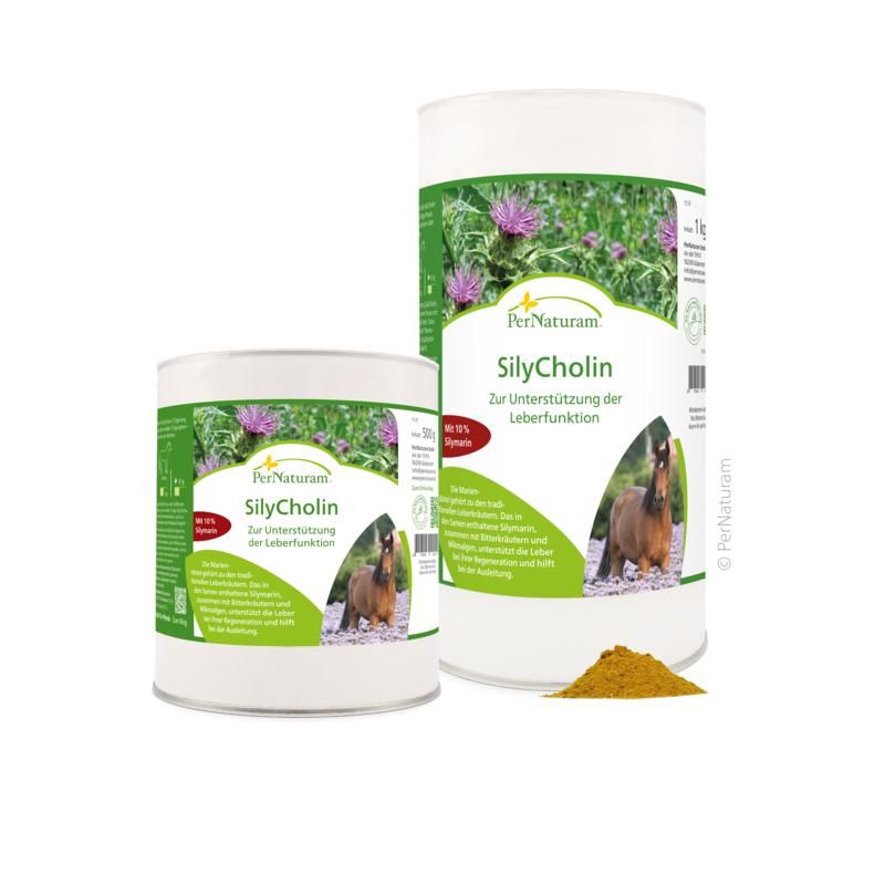 PerNaturam SilyCholin 500 g Pulver