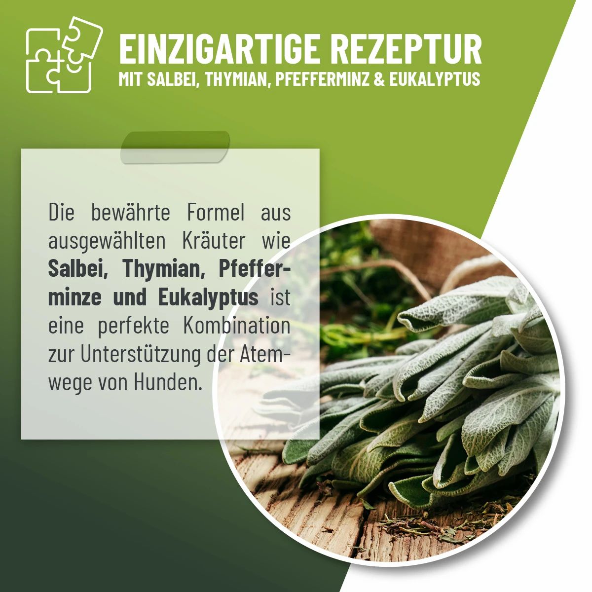 ReaVET Bronchial Liquid: Text über einzigartige Rezeptur mit Salbei, Thymian, Pfefferminz, Eukalyptus und Bild von Salbeiblättern.