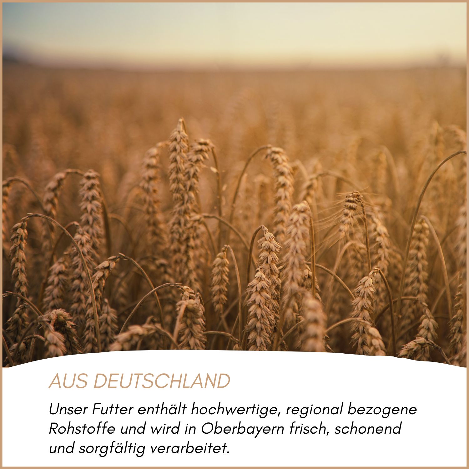 Supravit Waldvogelfutter mit Sonnenblumenkerne