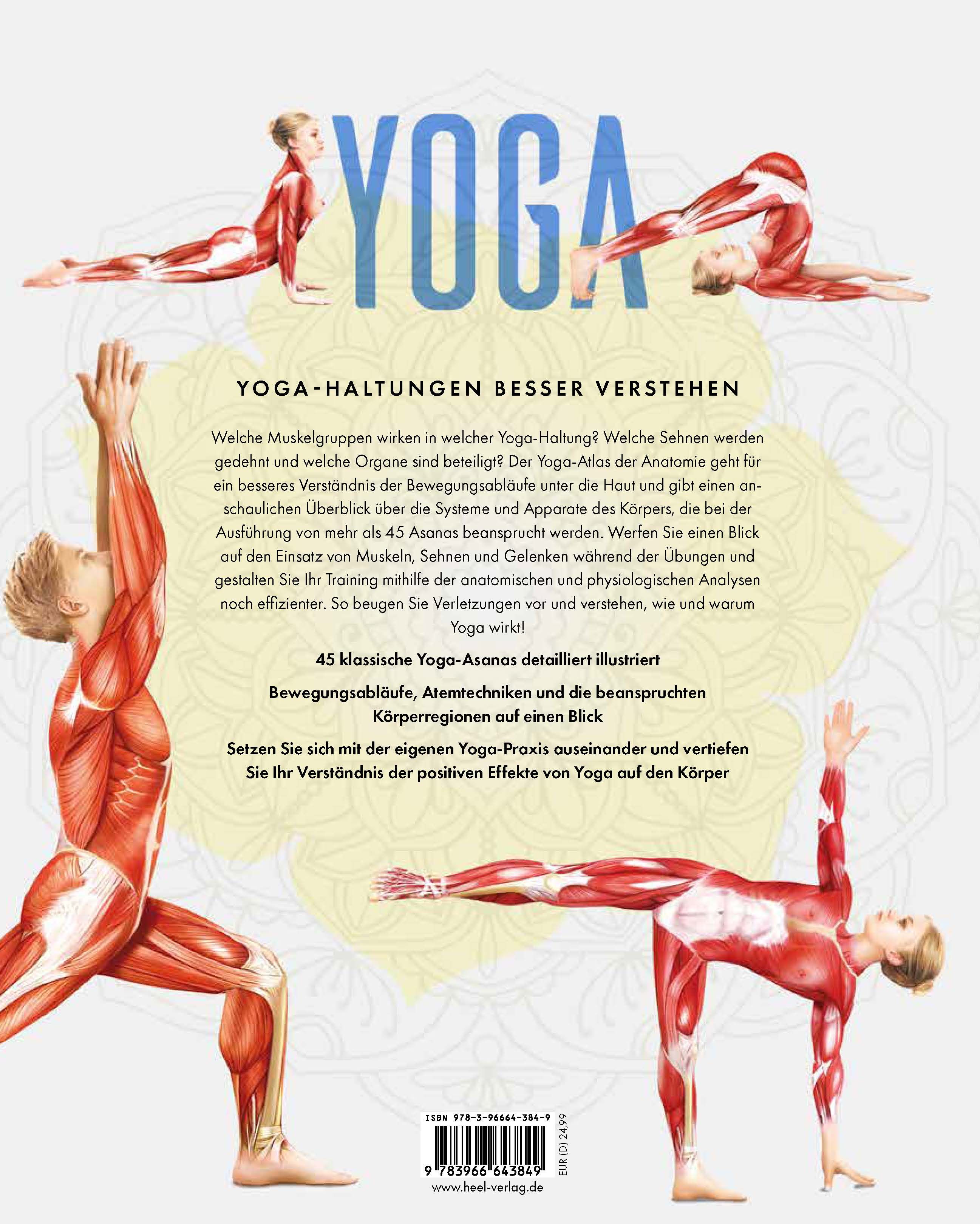 Rückseite des Buches YOGA Atlas der Anatomie. Text über Yoga-Haltungen und Anatomie. ISBN-Code und Verlagslogo.