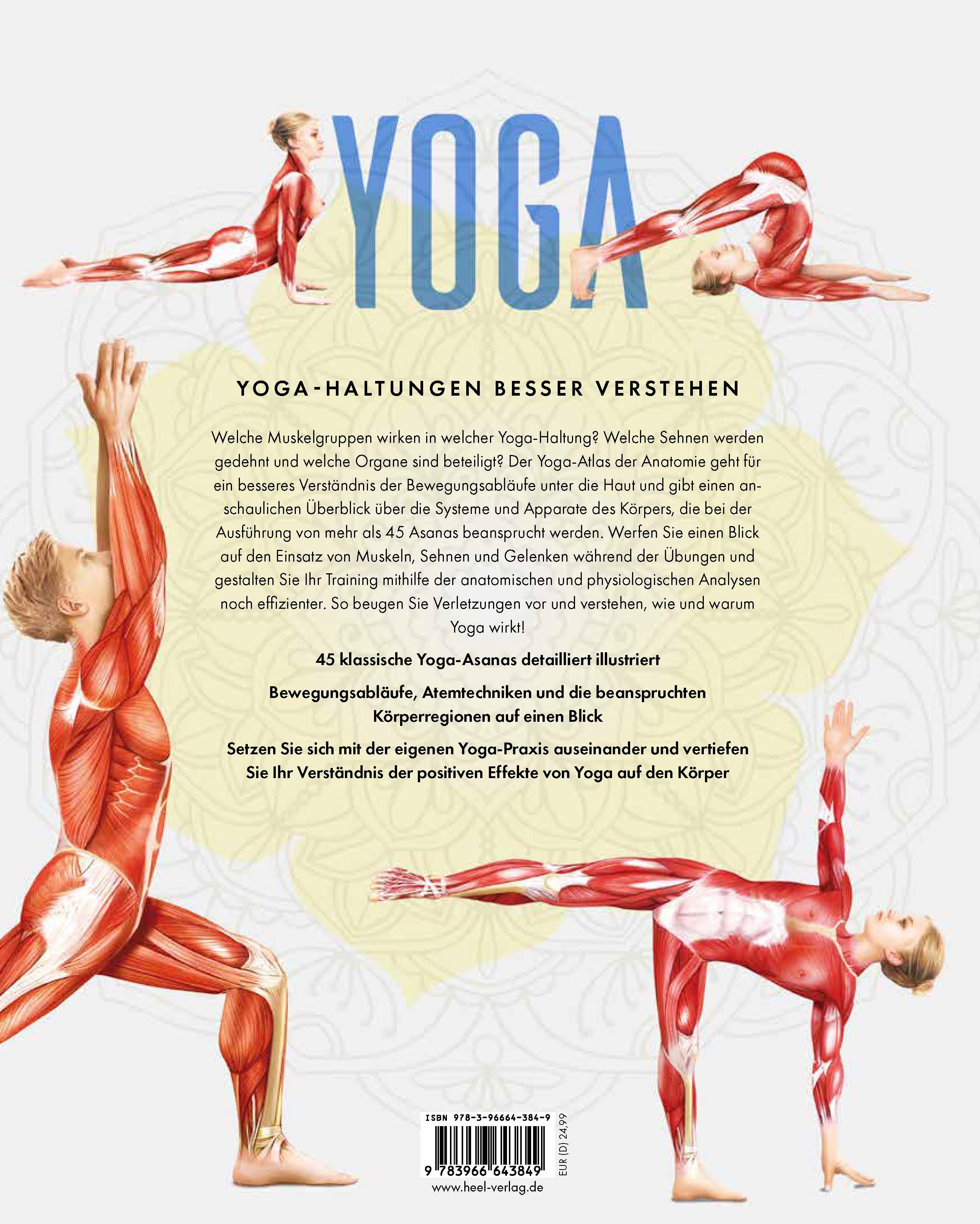 Yoga Anatomie-Atlas 1 St Buch