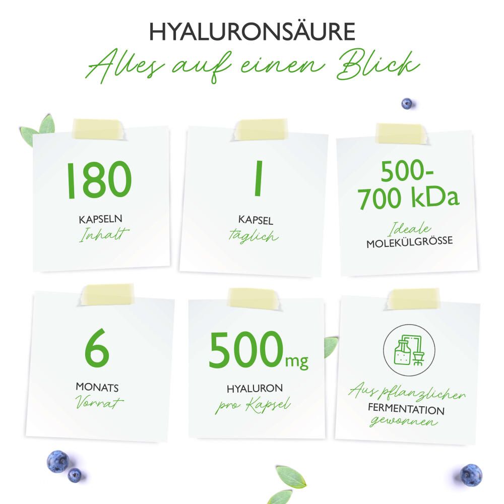 Infografik mit Informationen zu Hyaluronsäure-Kapseln. Enthält Angaben zu Kapselanzahl, Dosierung, Molekülgröße und Fermentation.