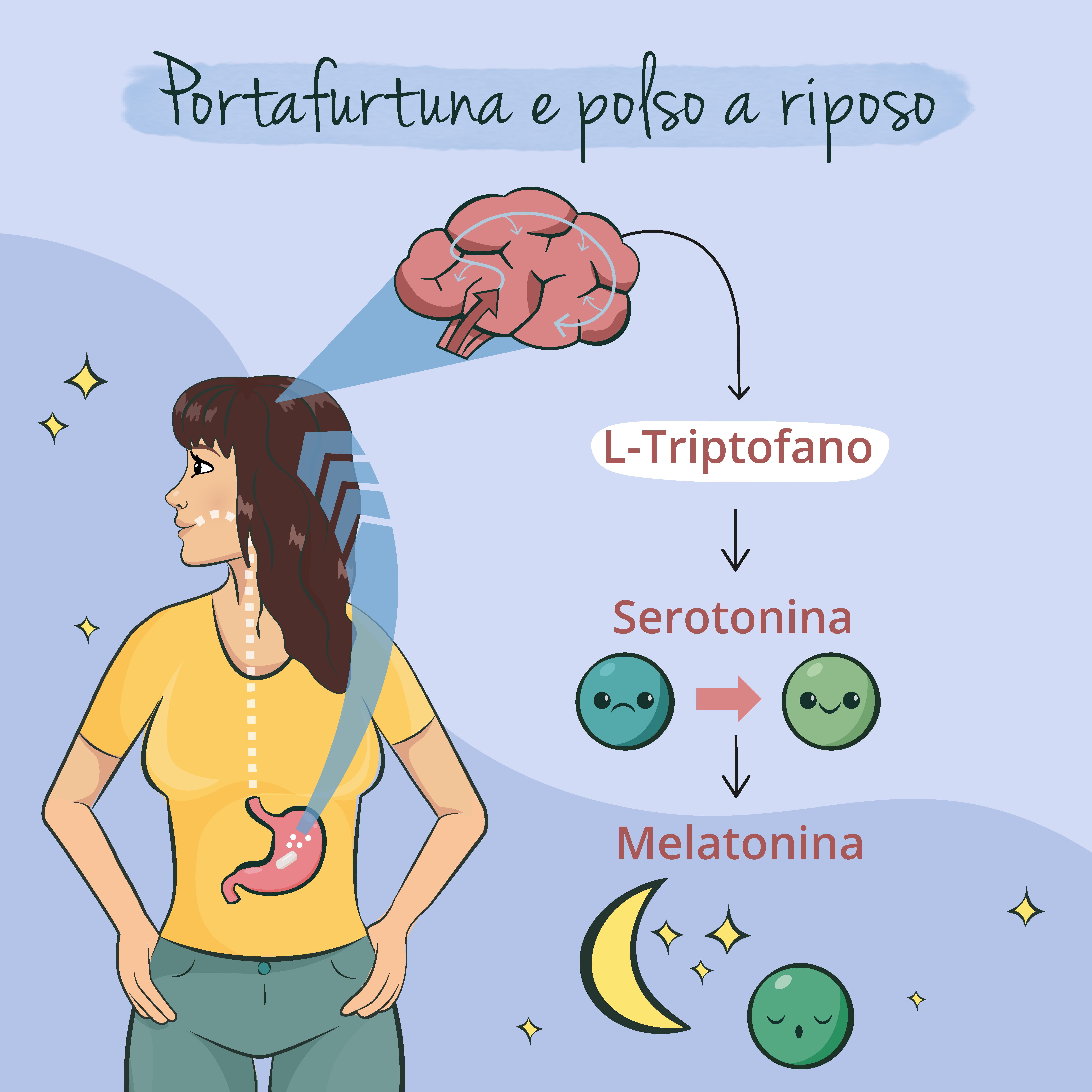 Illustration einer Frau. Gehirn, Magen und die Umwandlung von L-Tryptophan in Serotonin und Melatonin. Sterne und Mond.