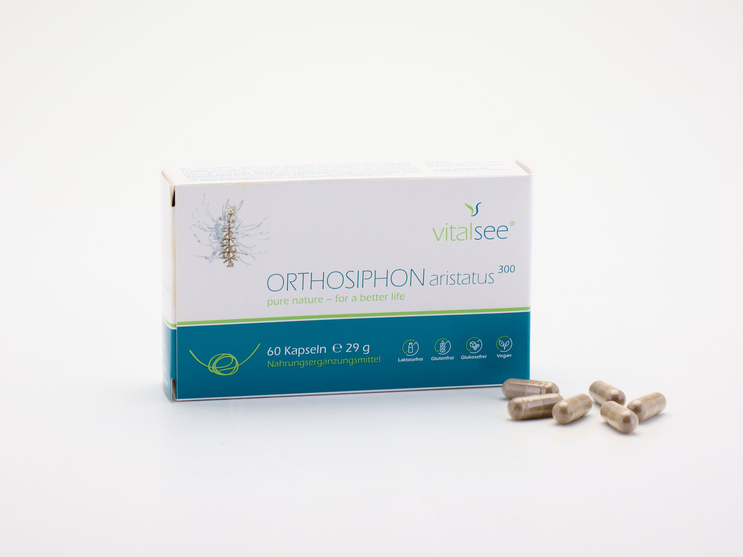 Vitalsee ORTHOSIPHON aristatus 300 Extrakt