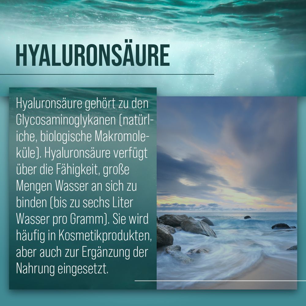 Sanct Bernhard Hyaluronsäure-Kapseln 500 mg