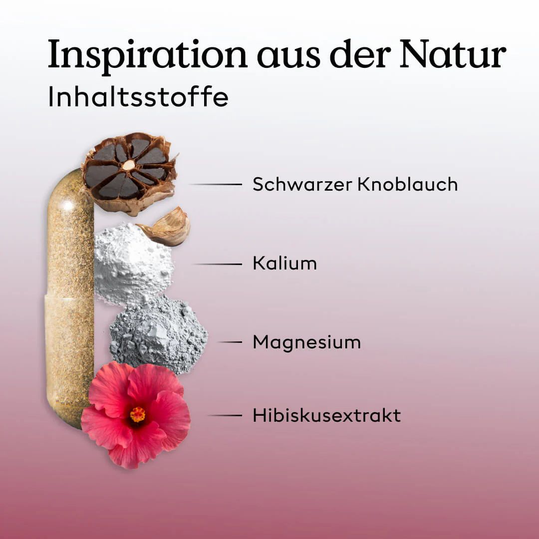 Health Routine Cardio Balance