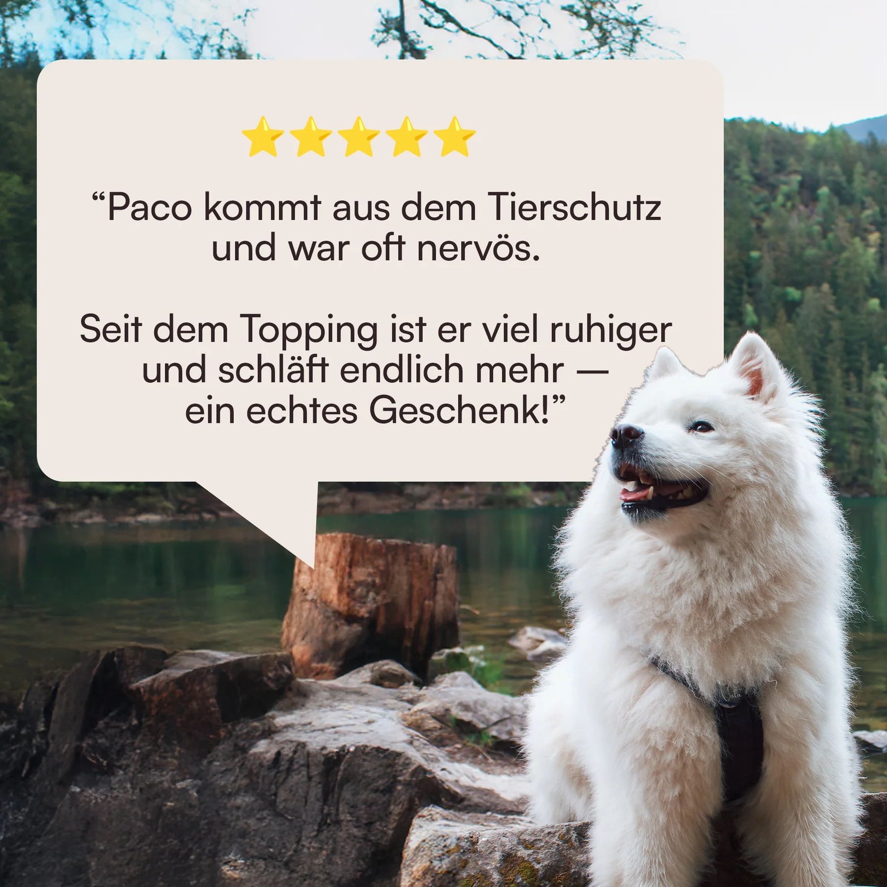 Hunderunde Futtertopping Ruhe & Gelassenheit