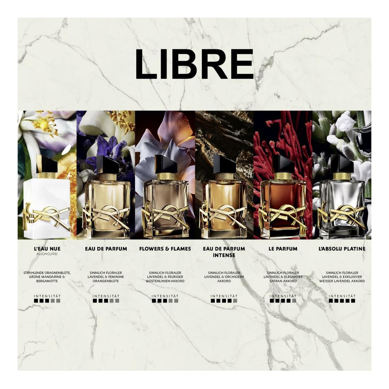 Mehrere Flakons auf Marmor. Verschiedene Düfte mit Namen und Intensitätsangaben.