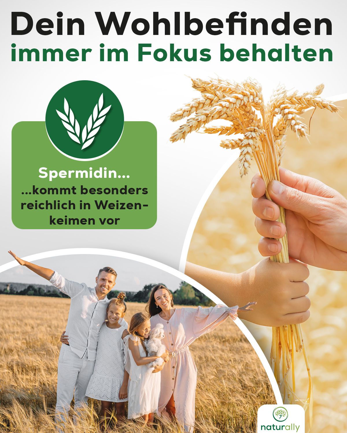 Werbebild mit Familie auf Feld. Text: "Spermidin... reichlich in Weizenkeimen". Logo "naturally". Ähren in Hand.