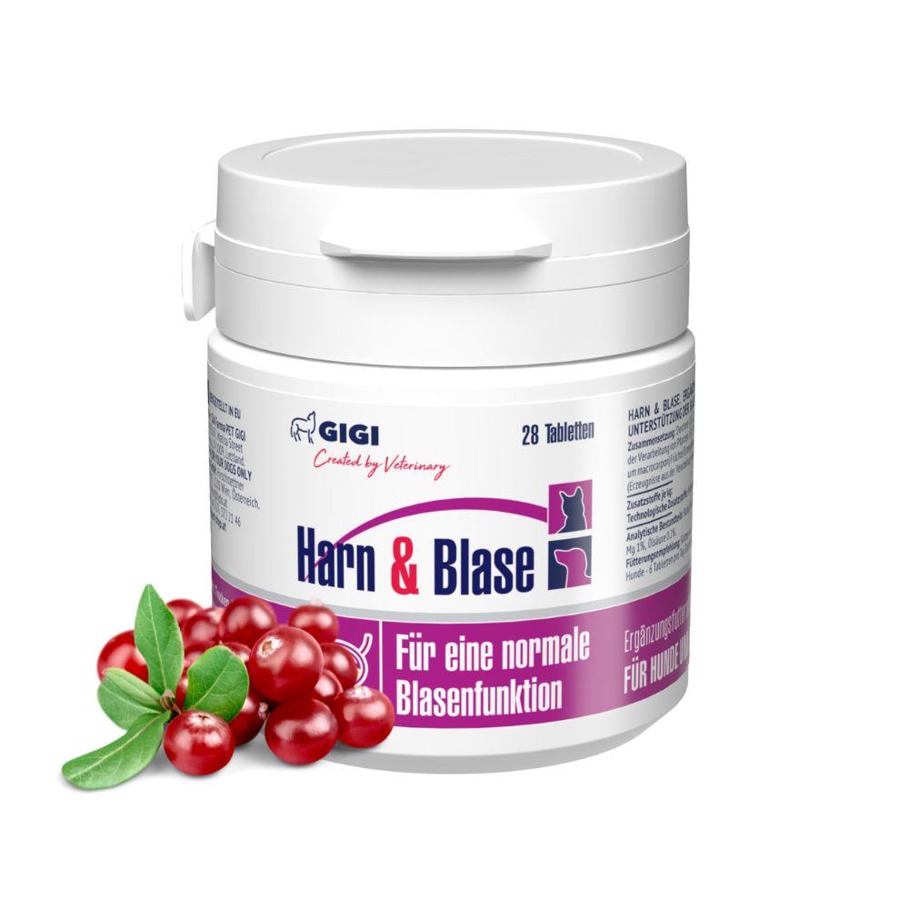 GIGI VET Harn & Blase
