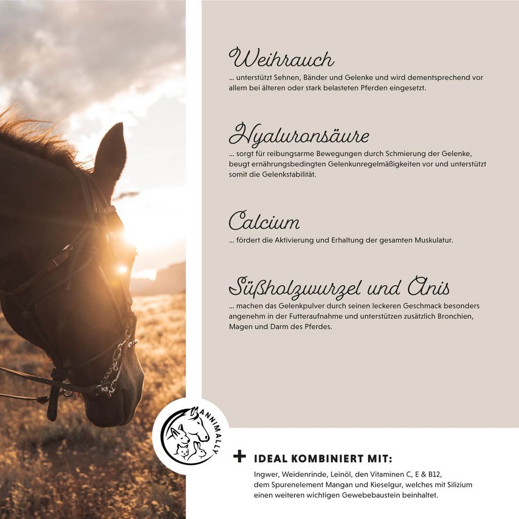 Pferdekopf im Sonnenlicht. Text über Inhaltsstoffe: Weihrauch, Hyaluronsäure, Calcium, Süßholzwurzel und Anis. Annimally Logo.