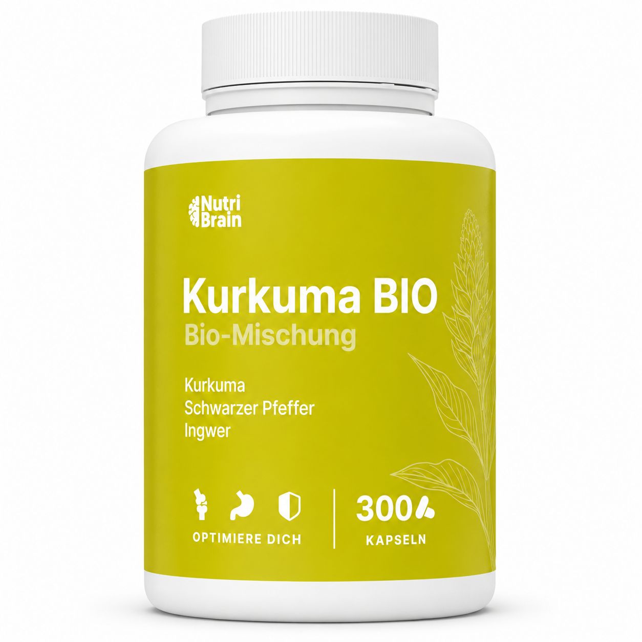 NUTRIBRAIN Kurkuma Kapsel