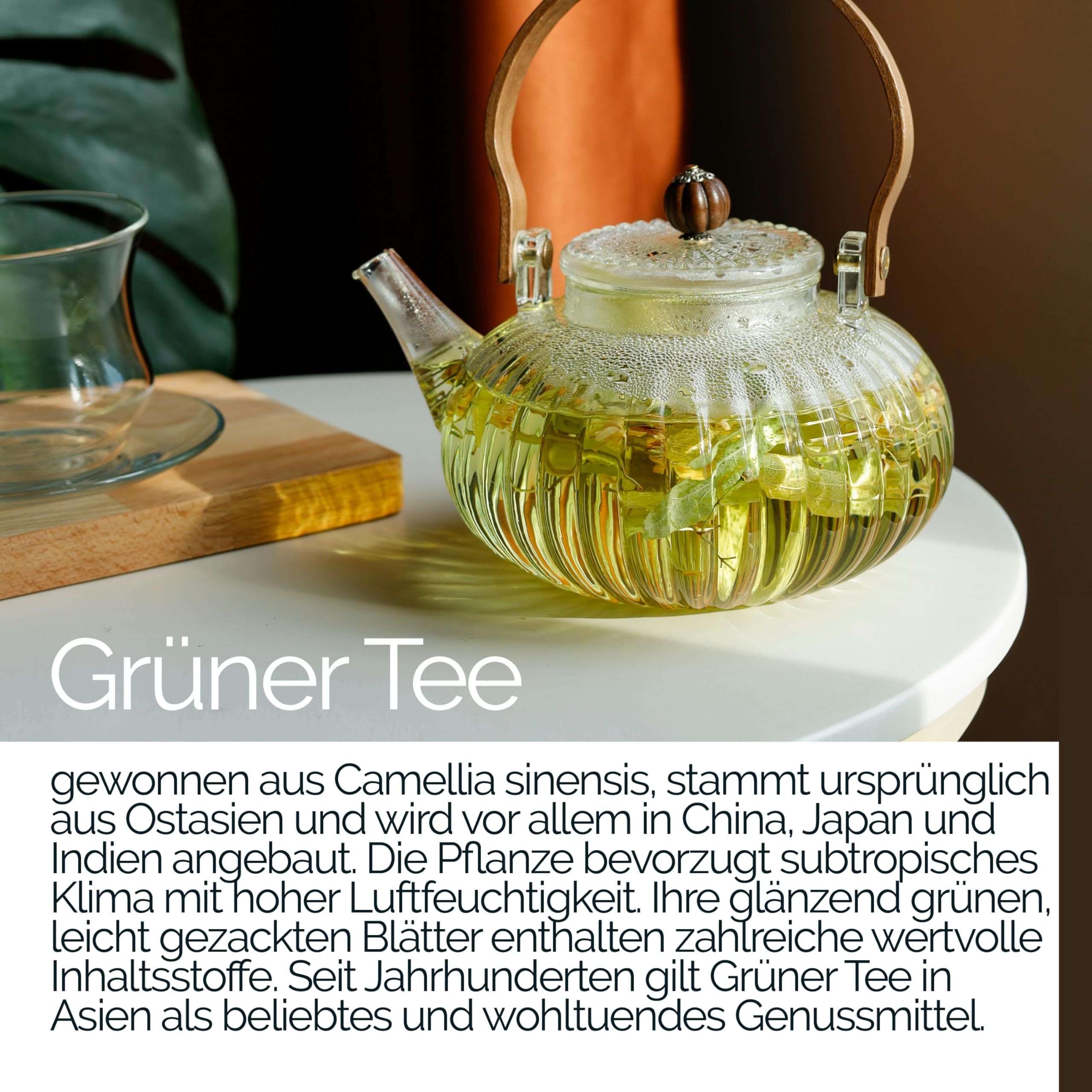 TAVI® Grüntee Flavonoide Kapseln (Grüntee-Extrakt, EGCG, Catechine)