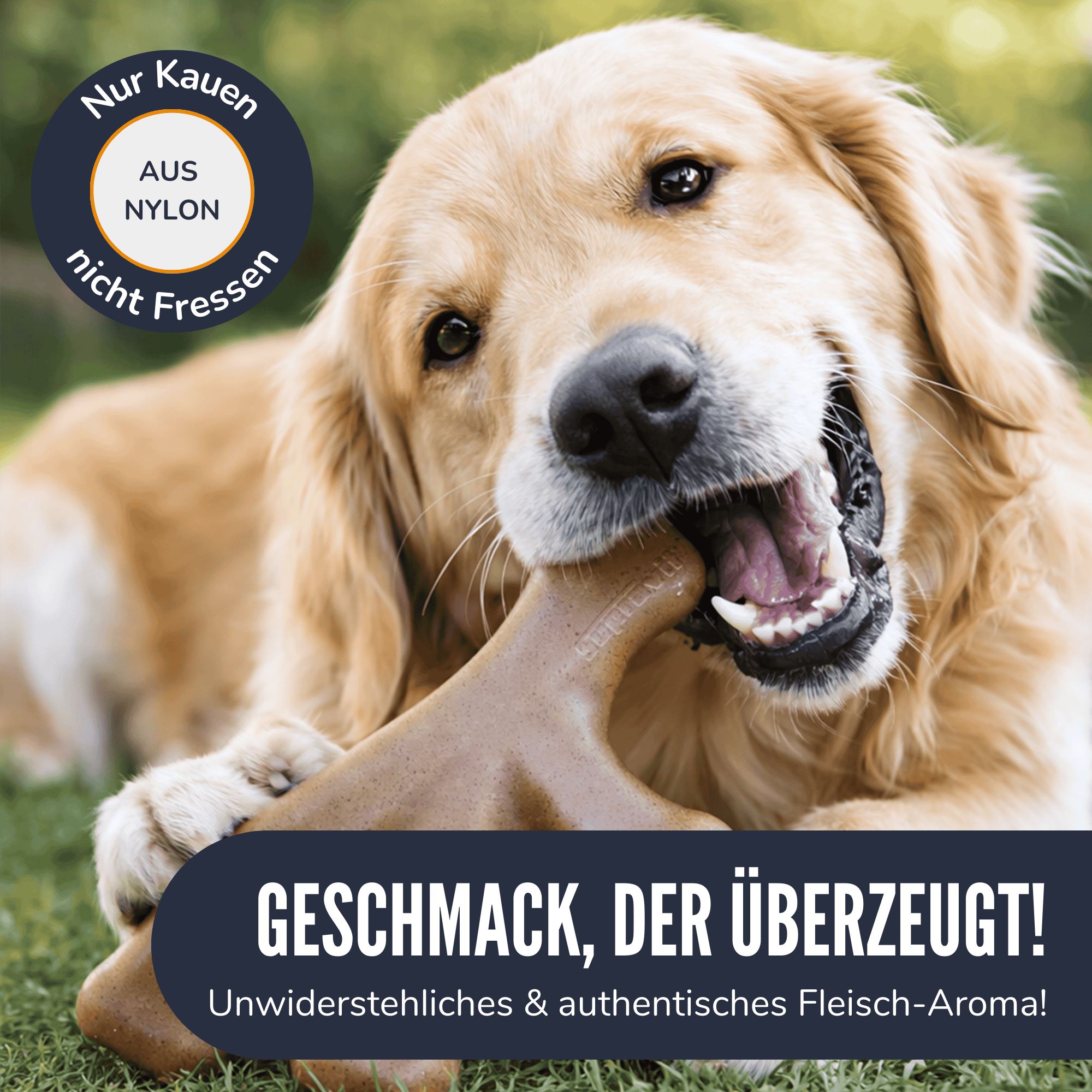 Goldener Retriever mit braunem Kauspielzeug im Maul. Text: GESCHMACK, DER ÜBERZEUGT! Aus Nylon.