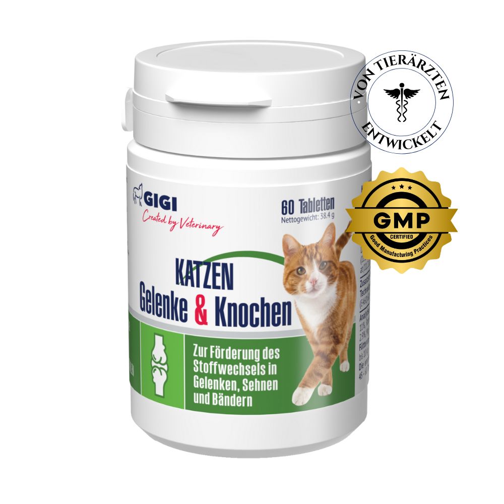 GIGI VET Katzen Gelenke & Knochen