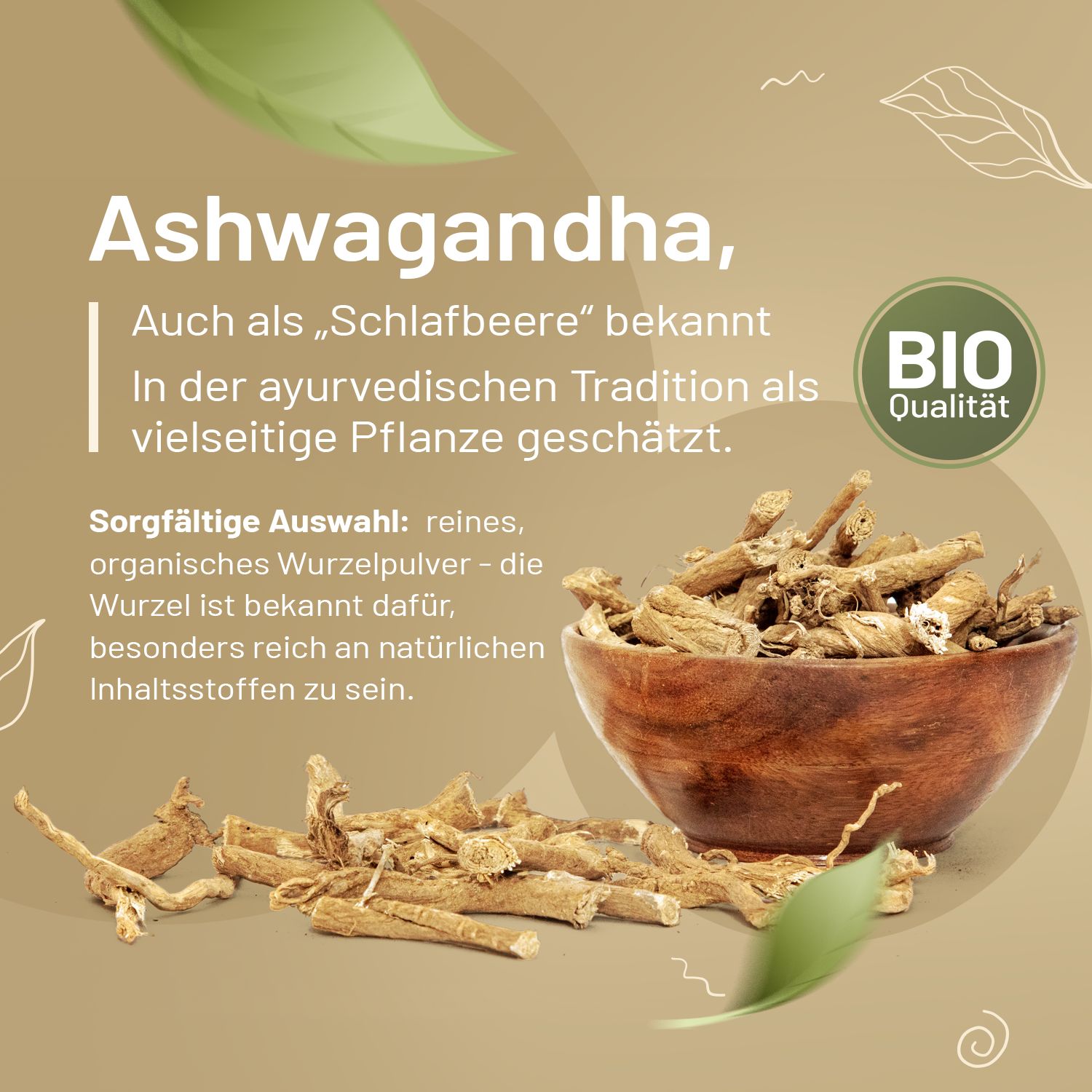 Ashwagandha-Wurzeln in Schale. Text: Sorgfältige Auswahl: reines, organisches Wurzelpulver.