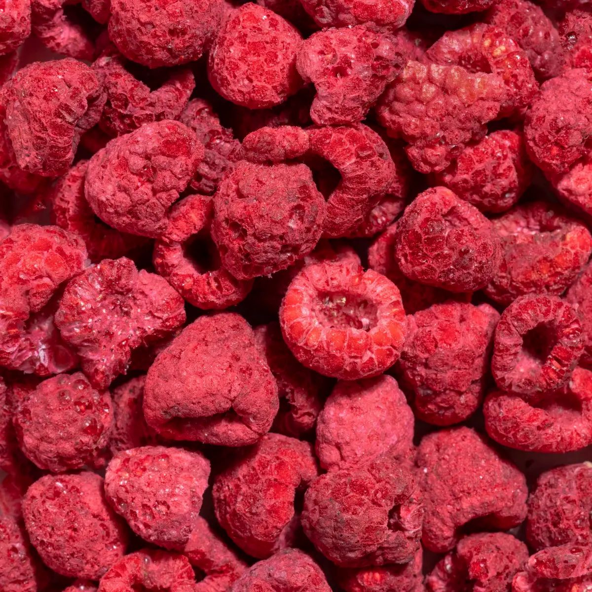 Nahaufnahme von gefriergetrockneten Himbeeren. Rote, getrocknete Früchte. Einzelne Himbeeren.