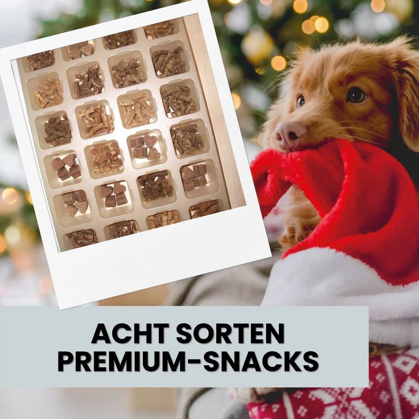 alphazoo Adventskalender 2025 für Hunde
