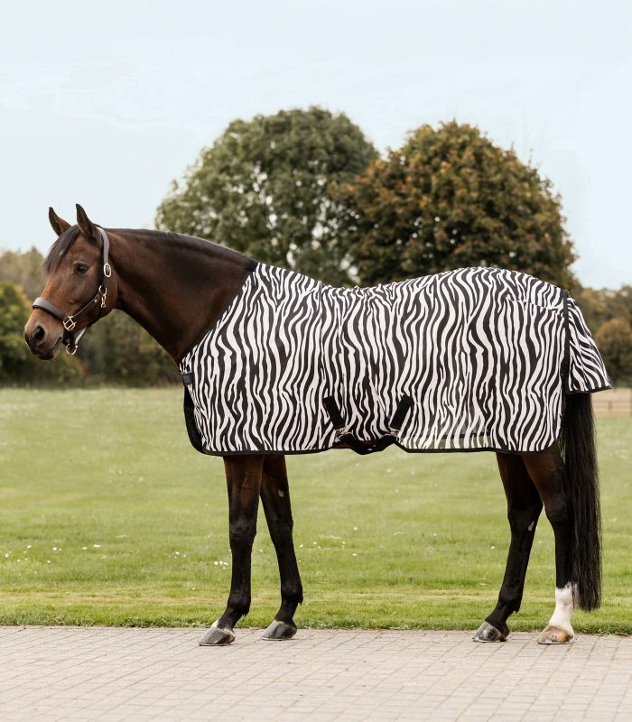 Pferdedecke mit Zebra-Muster und Kreuzgurten. Auf einem Pferd stehend. Schwarze und weiße Streifen. Grüne Wiese im Hintergrund.