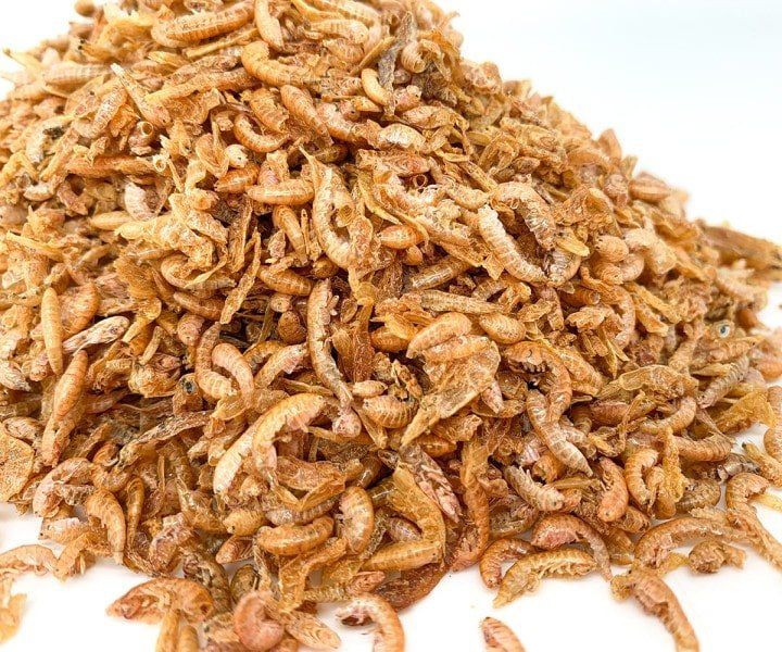 Insektus Gammarus 250 g