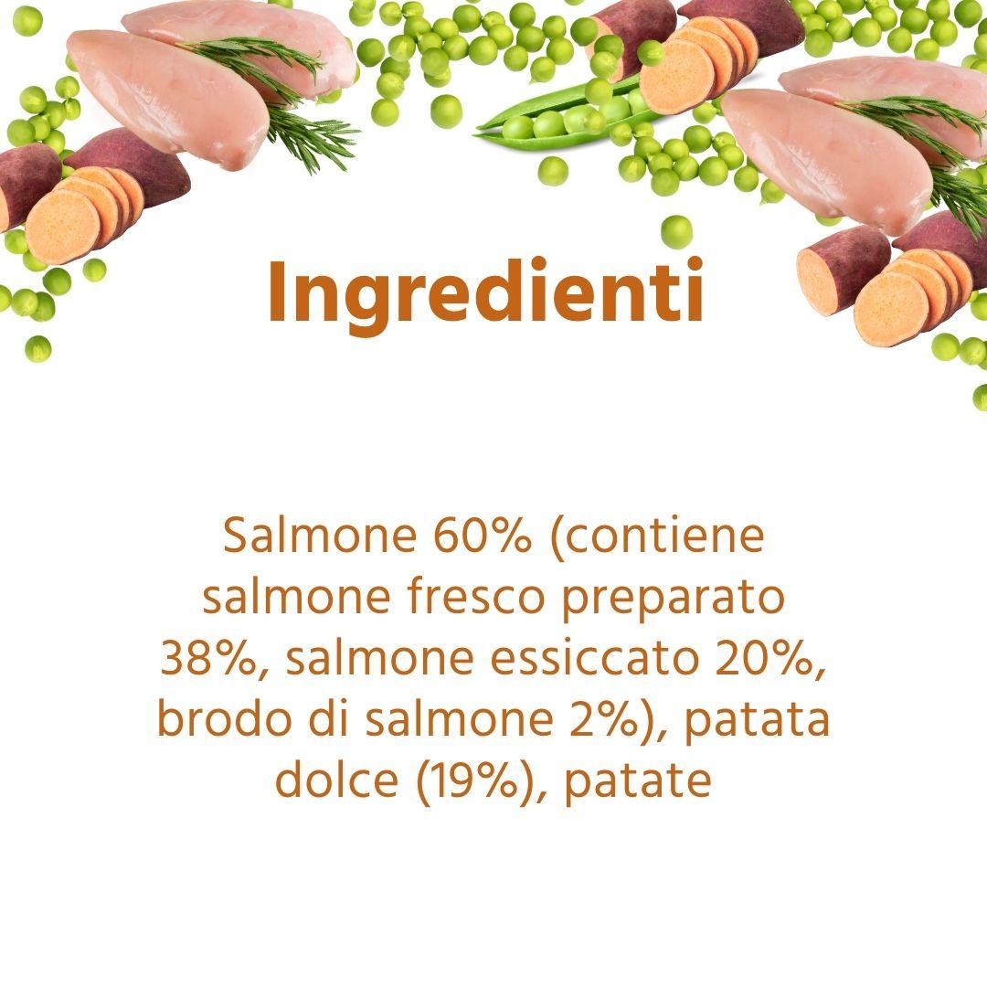 Zutaten: Lachs 60% (enthält frischen Lachs 38%, getrockneten Lachs 20%, Lachssuppe 2%), Süßkartoffeln (19%), Kartoffeln.