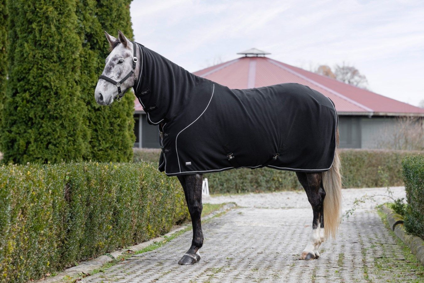 Schwarze Fleecedecke mit Halsteil auf einem Pferd im Freien. Weiße Paspelierung, silberne Schnallen. Hintergrund: Gebäude.