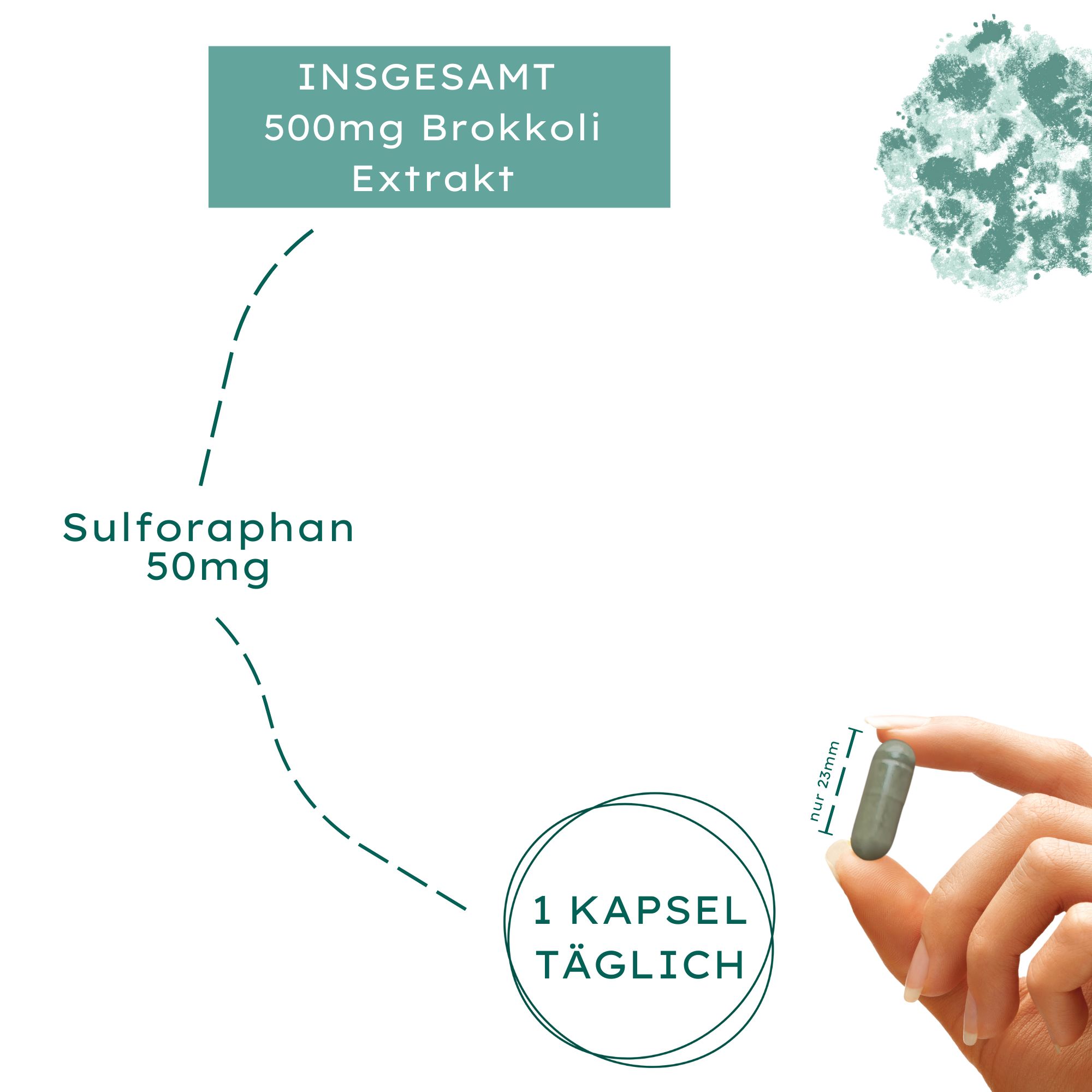 NATURE BASICS®  Sulforaphan Brokkoli Extrakt Vegan im Braunglas