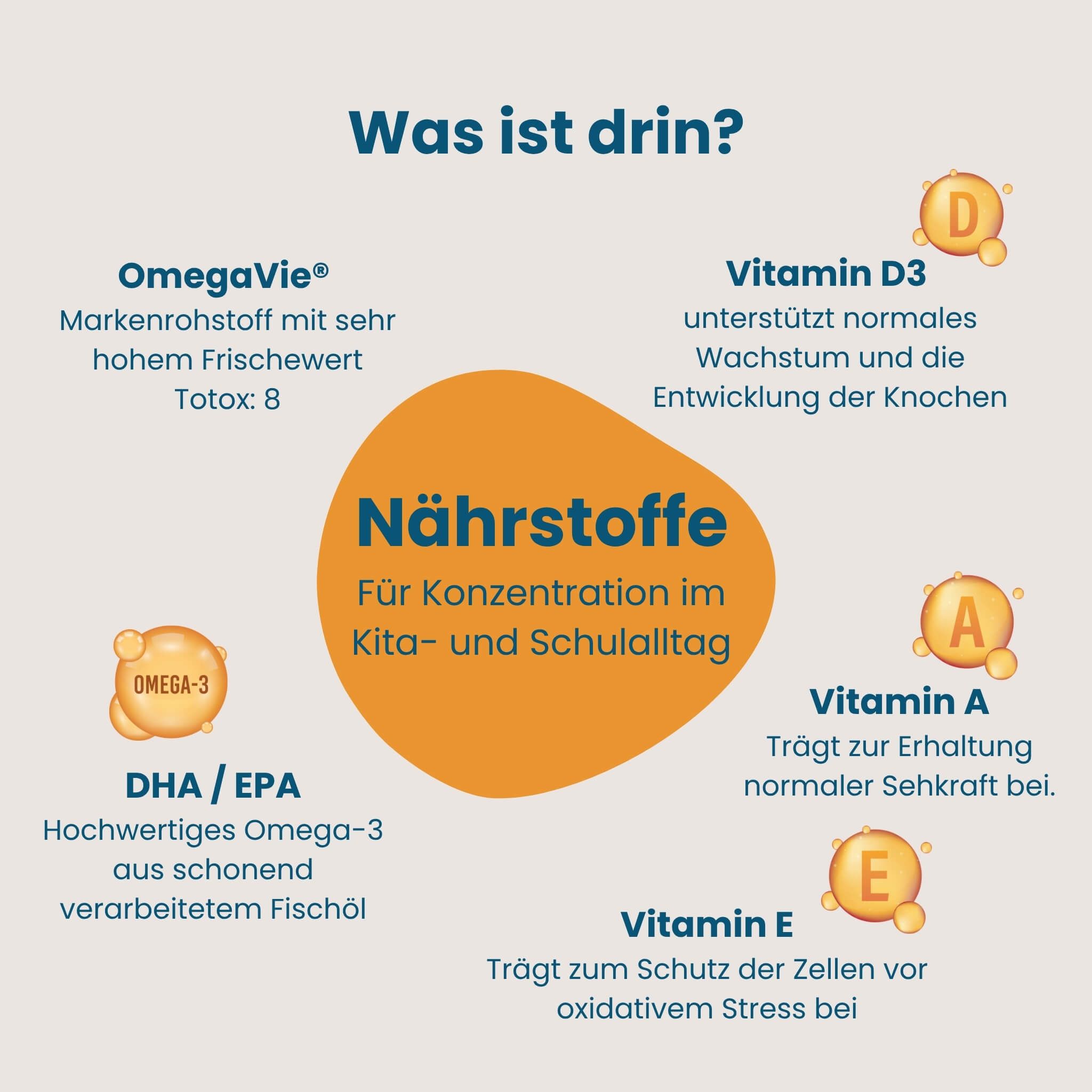 Grafik mit Nährstoffen für Konzentration: Omega-3, Vitamine A, D3, E.