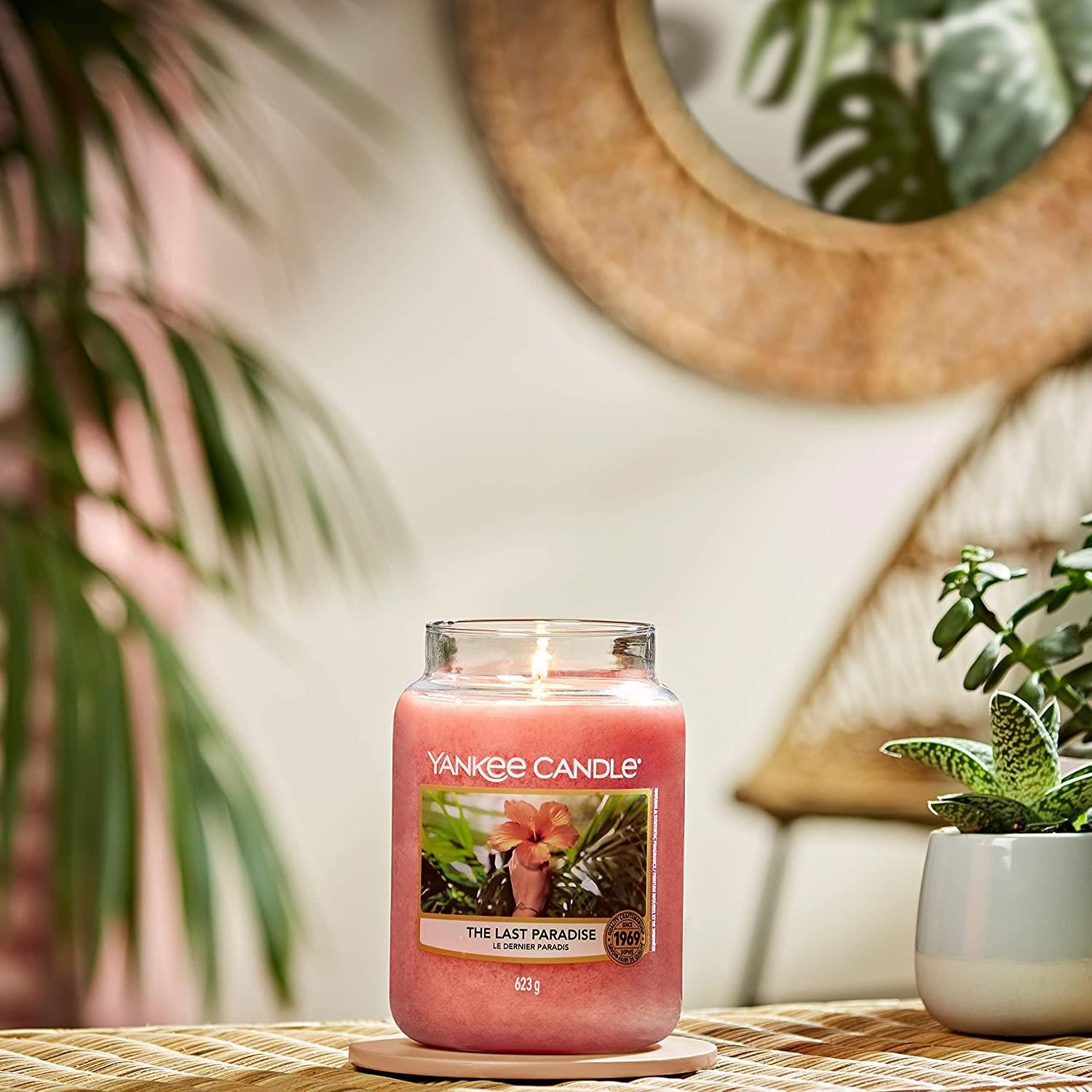 Yankee Candle Duftkerze Medium The Last Paradise 411g