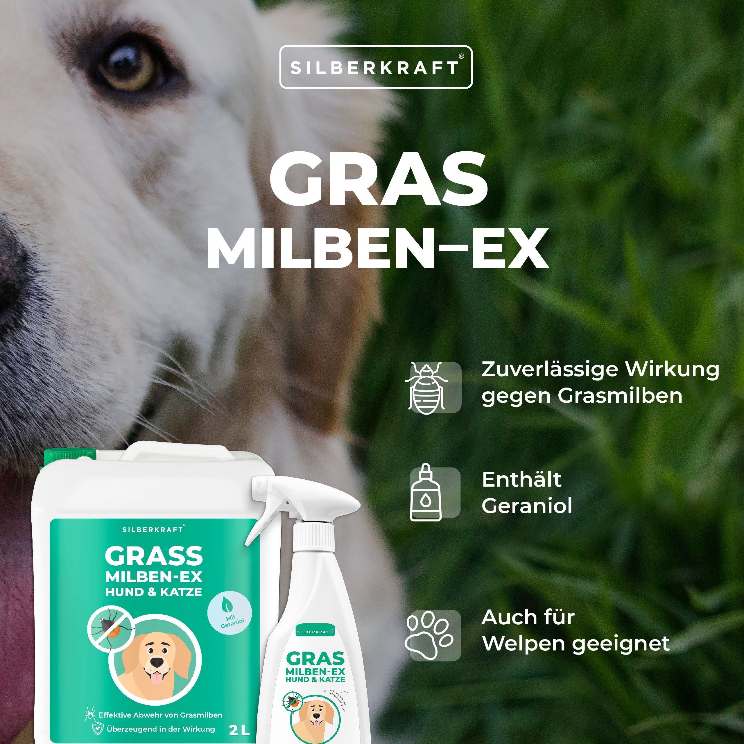 Silberkraft Grasmilben Ex Hund & Katze 2500 ml Spray