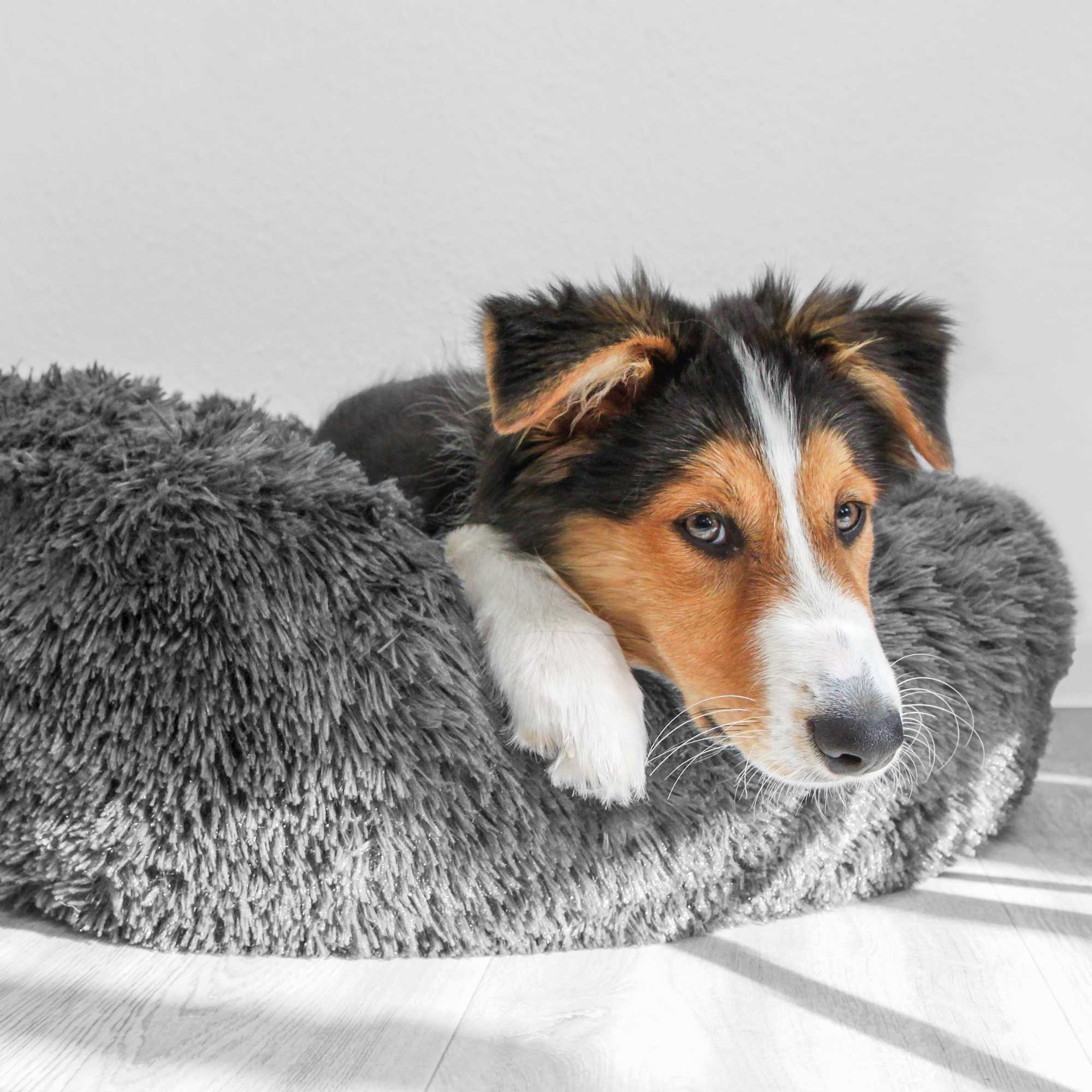 Hunde-Plüschbett Flauschi - Kuschelbett Donut - mit Anti-Rutsch-Boden - waschbar