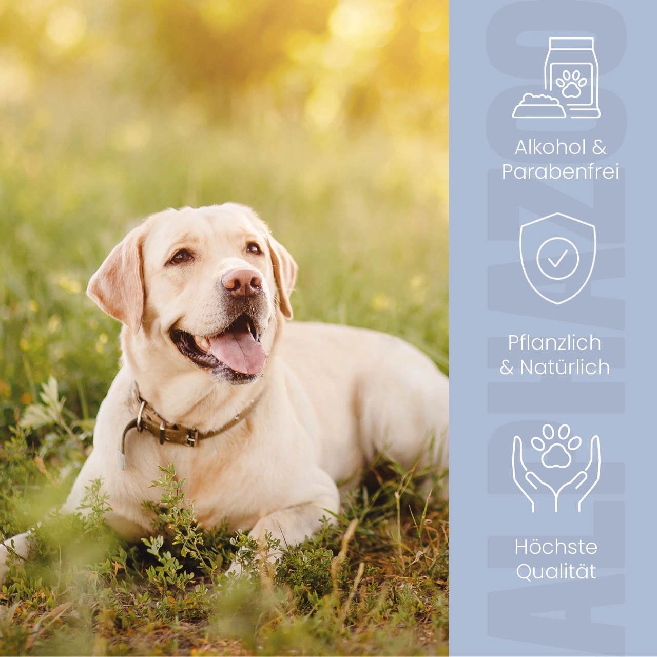 Hund im Gras. Text: Alkohol & Parabenfrei, Pflanzlich & Natürlich, Höchste Qualität.