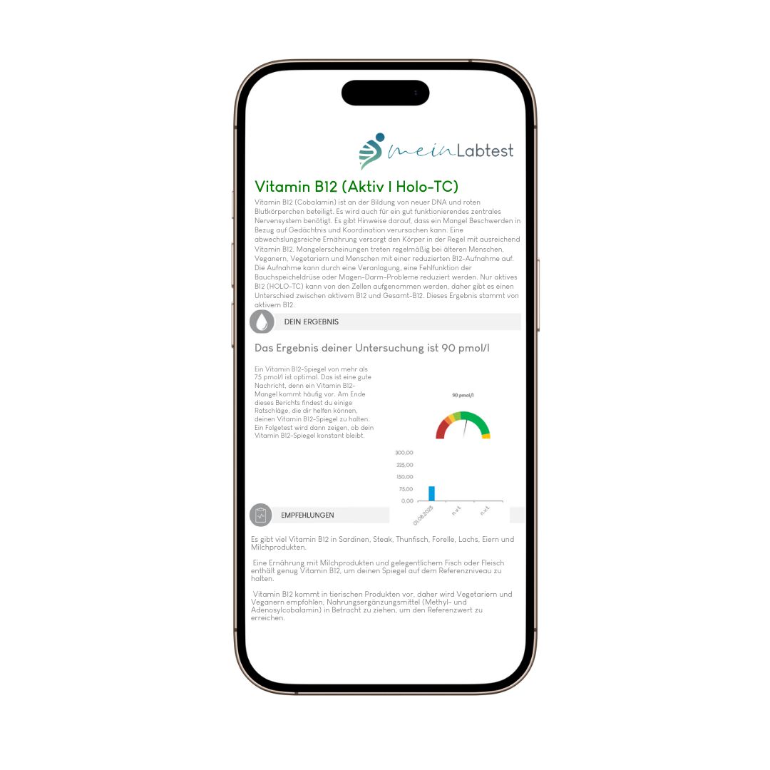 Smartphone mit Testergebnissen für Vitamin B12. Auf dem Bildschirm: meinLabtest, Diagramme und Text.