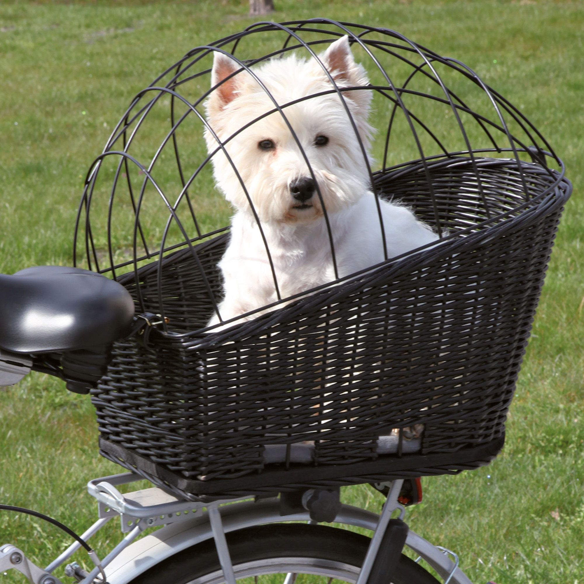 großer Weiden Fahrradkorb für den Gepäckträger, inkl. Kissen für Hunde bis 8 kg Hundekorb