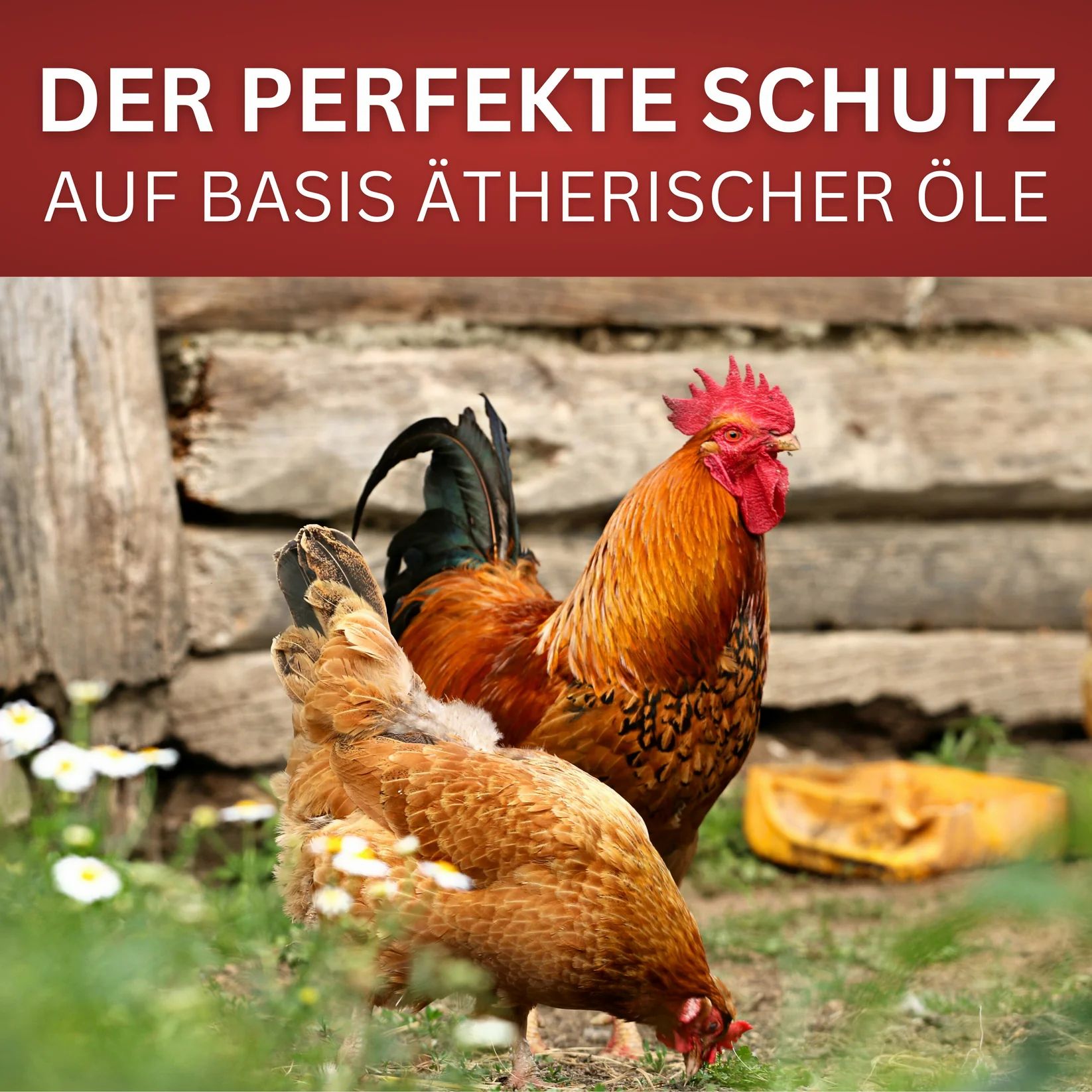 ltk_008 BIODELTA Hühner & Geflügel Milben-Spray