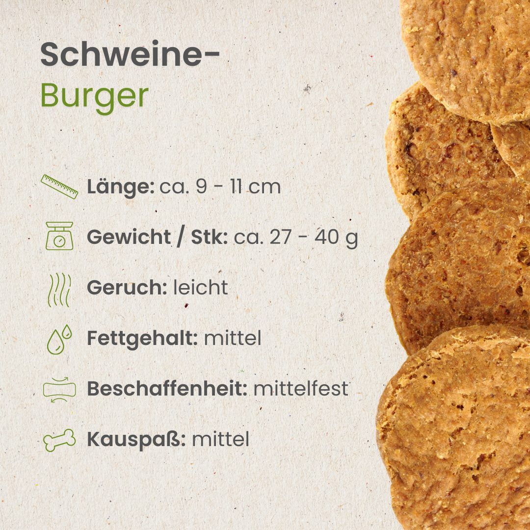 Hund mit Schweine-Burger Kauartikel im Maul, auf Baumstumpf.