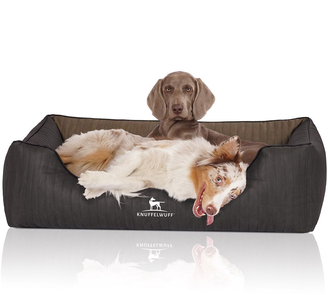Knuffelwuff Orthopädisches Hundebett Outback