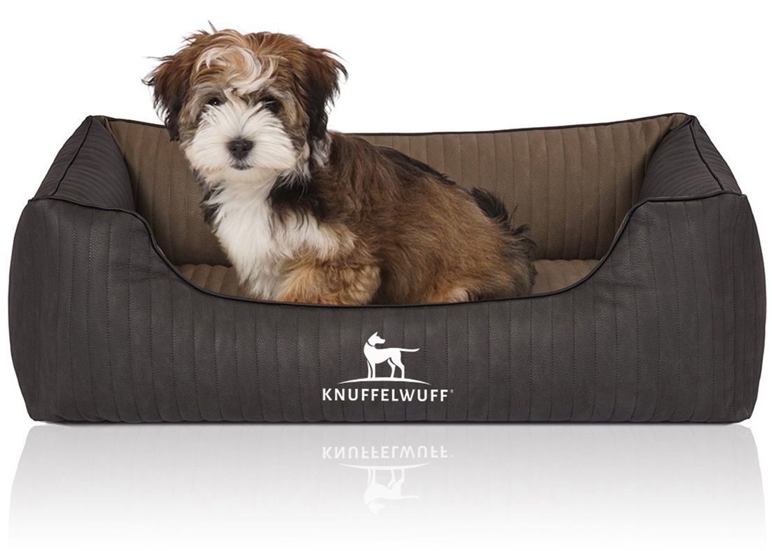 Hundebett Outback mit Hund. Braunes und schwarzes orthopädisches Bett mit Logo. Gepolstert, rechteckig mit erhöhten Seiten.