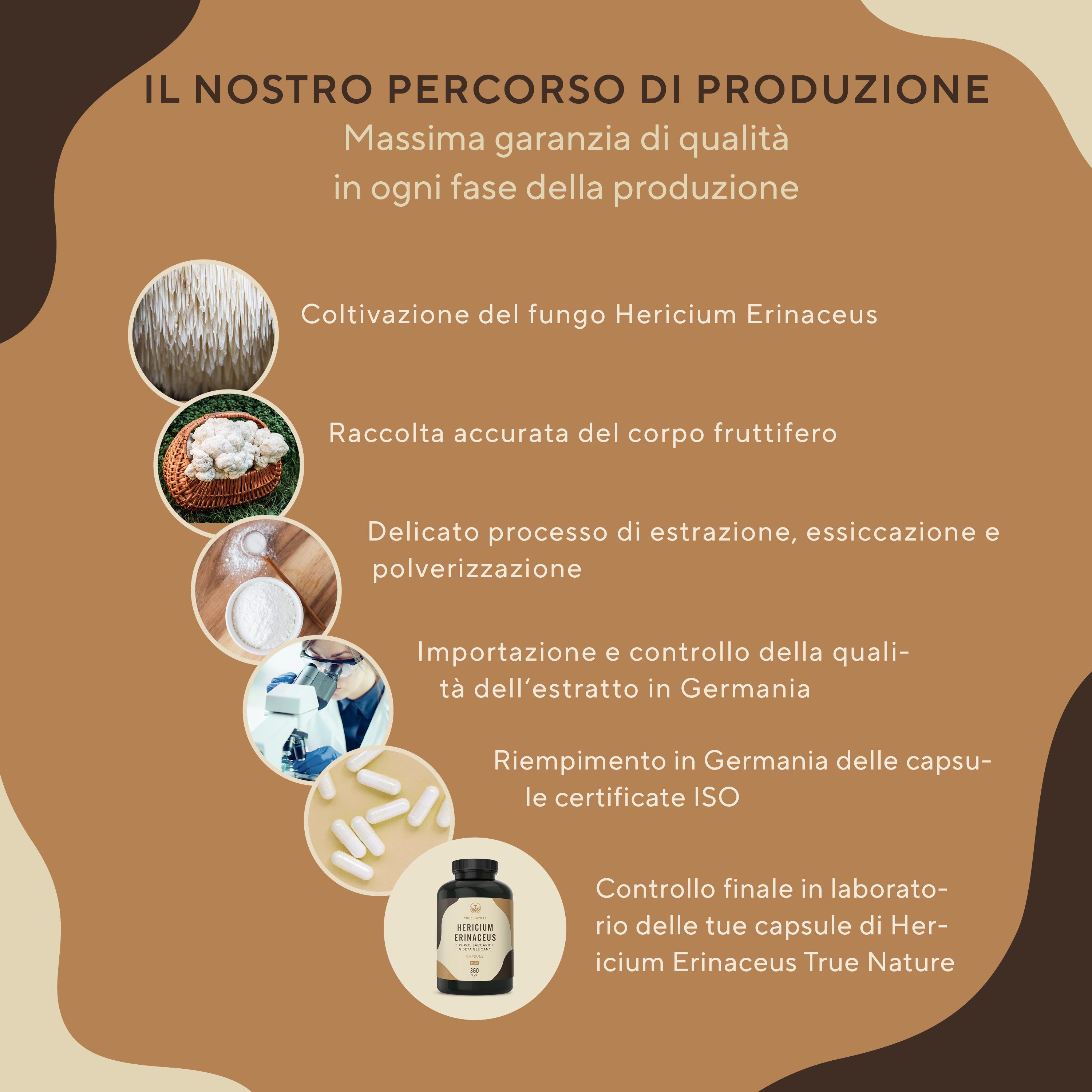 Grafico di processo: coltivazione, raccolta, estrazione, riempimento. Flacone con capsule. Certificazione ISO. Controllo qualità.