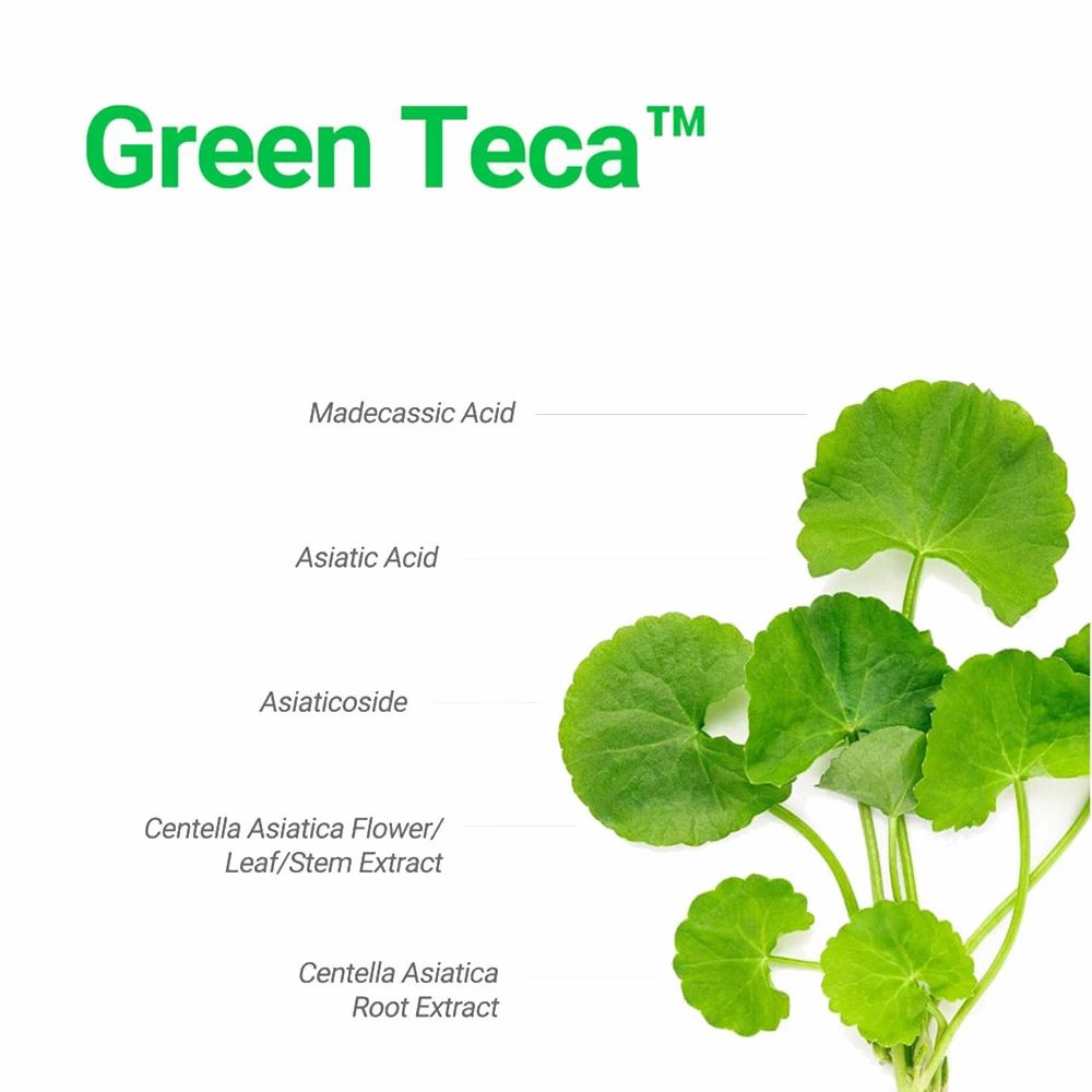 CENTELLIAN24 Madeca Derma Shield Safe Moisture Sun Cream – Feuchtigkeitsspendende Sonnencreme SPF50+