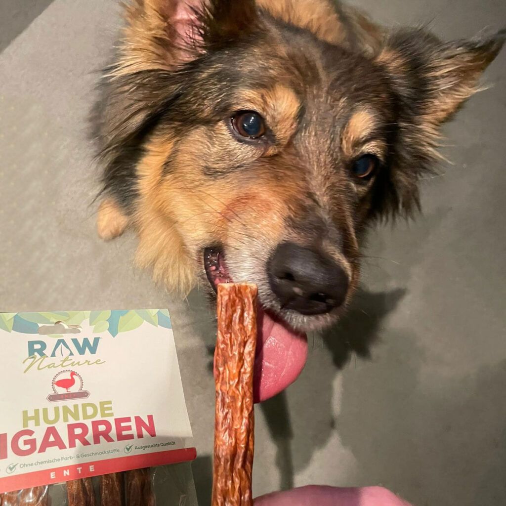 RAW Nature Hundesnack, Hase Hunde-Zigarren, Dörrfleisch Kausnack