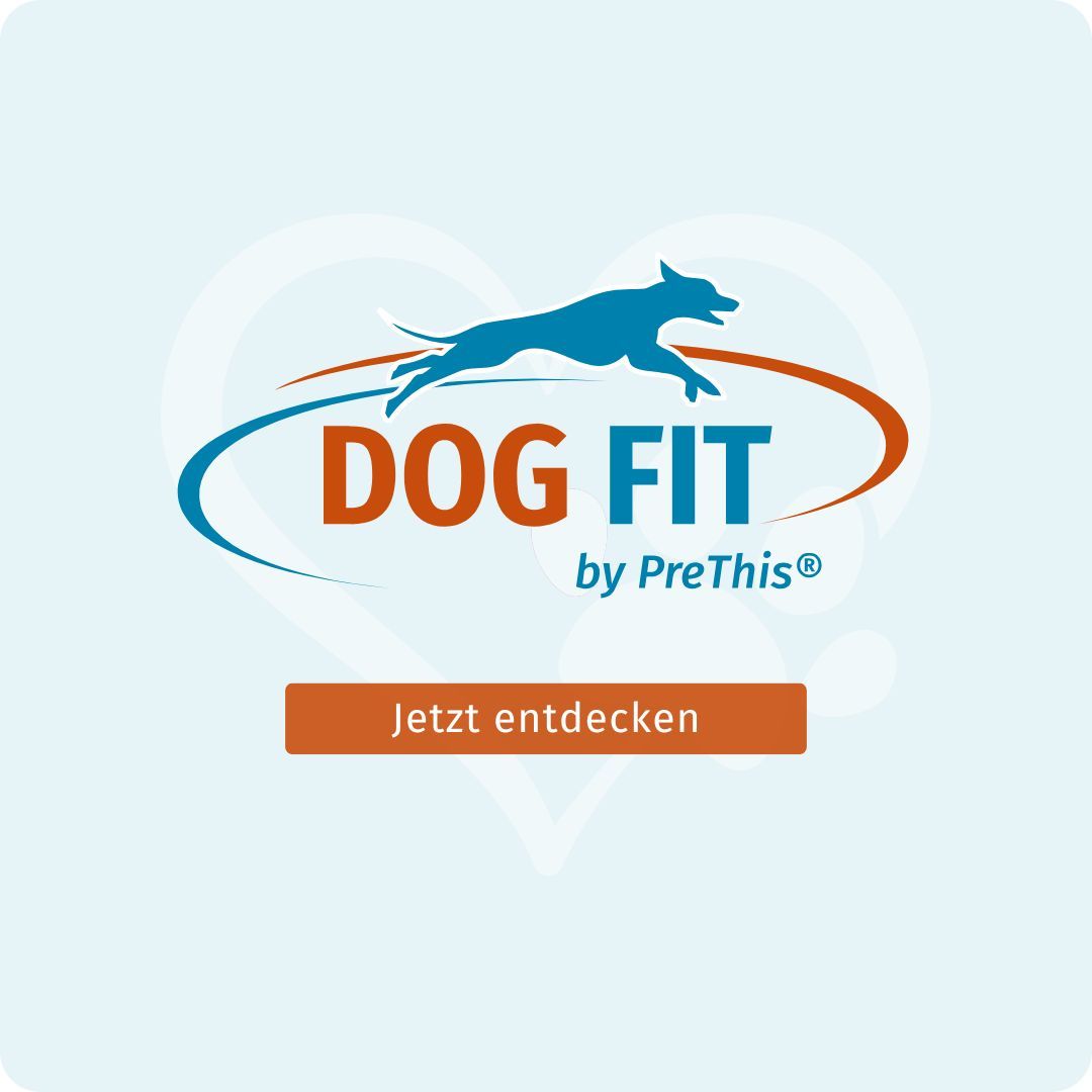 Logo DOG FIT by PreThis®. Text: Jetzt entdecken. Orangefarbener Button.
