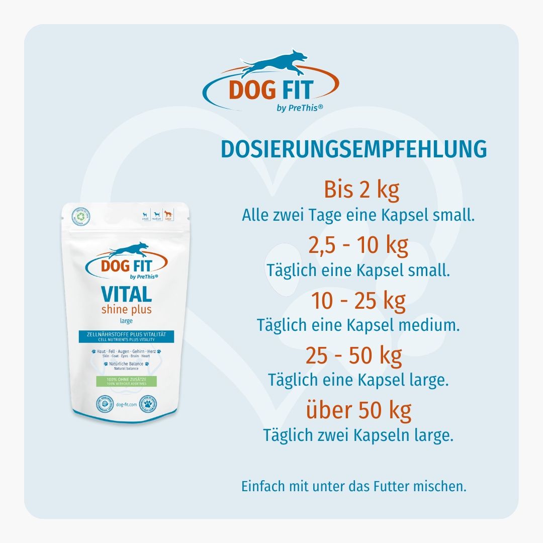 DOG FIT by PreThis® VITAL shine plus » Haut, Fell & Zellgesundheit » Hunde (large)