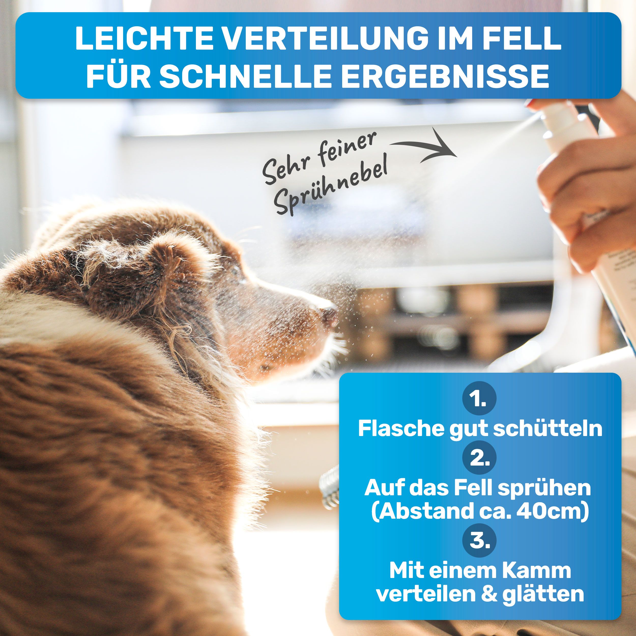 Hund wird mit Spray besprüht. Auf der Flasche steht "Sehr feiner Sprühnebel". Anweisungen: schütteln, sprühen, verteilen, kämmen.
