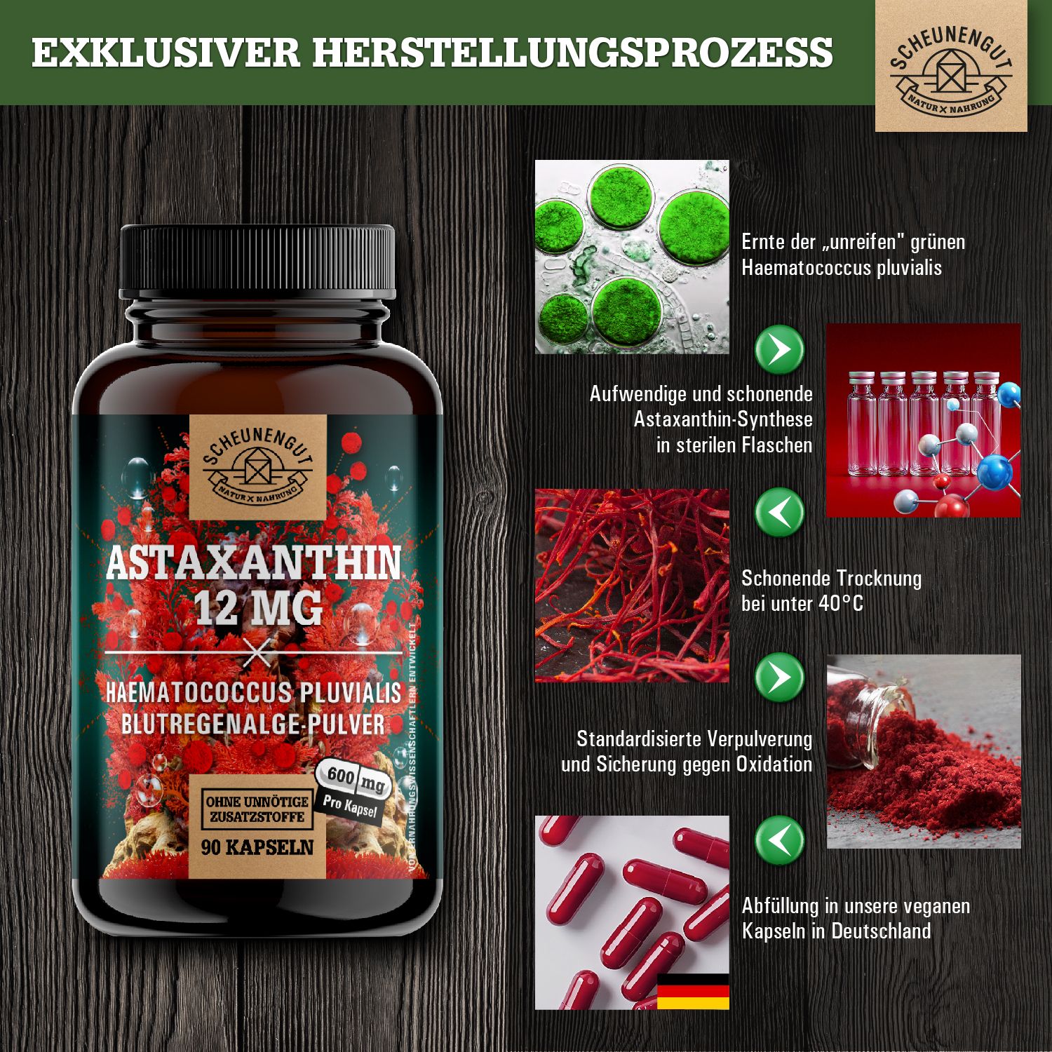 Scheunengut® Astaxanthin 12mg | 100% vegan Antioxidans aus Blutregenalge Haematococcus Pluvialis 90 St Kapseln